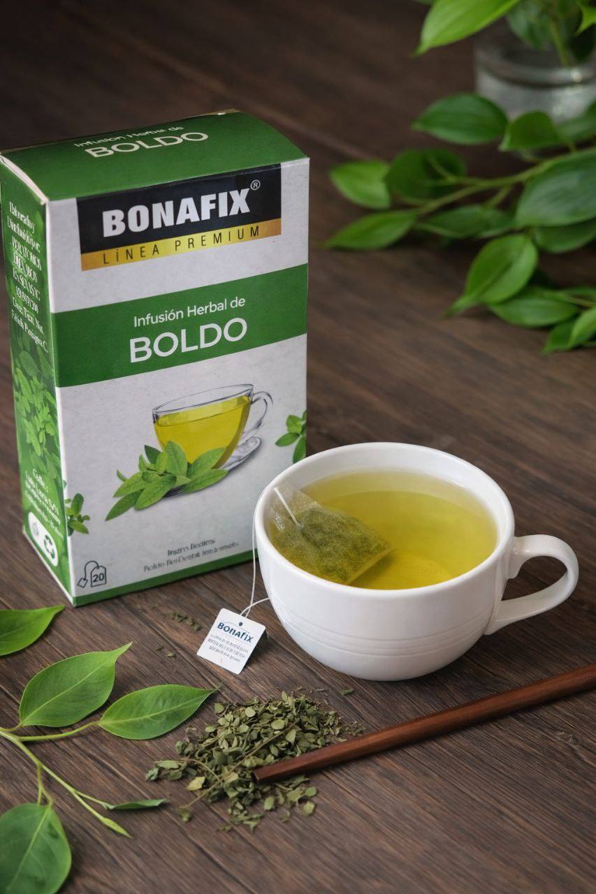 Infusión de Boldo